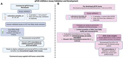 A method for measuring mitochondrial DNA copy number in pediatric populations